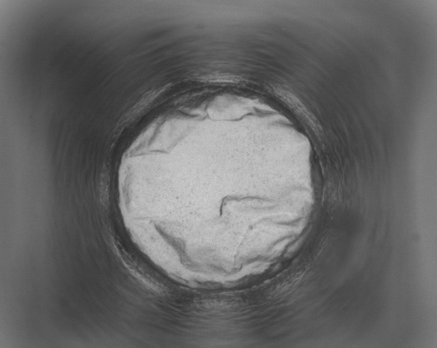 X0000075330533200610061630