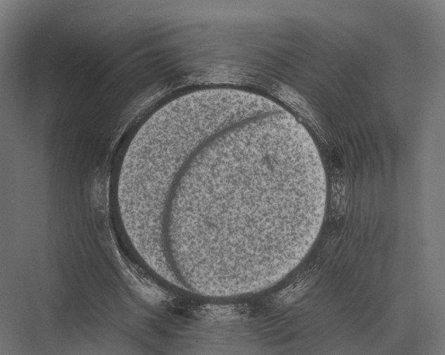 X0000075330534200610061630