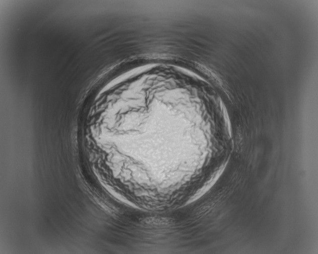 X0000075330535200610061631