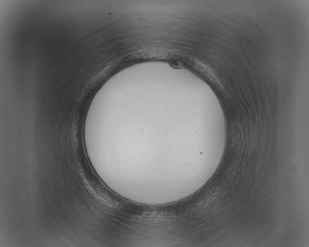 X0000075330538200610061631