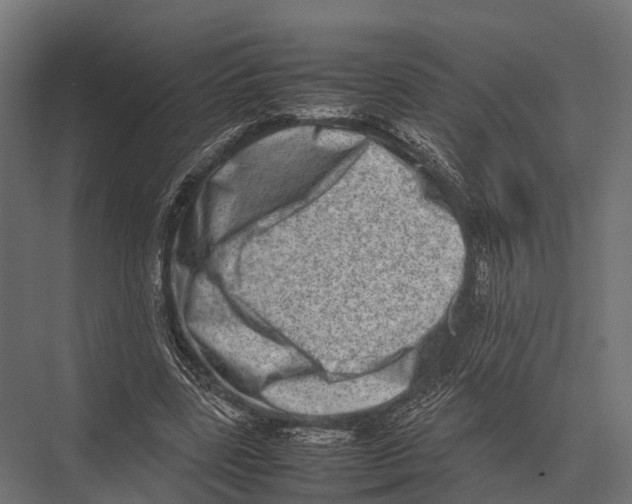 X0000075330539200610061631