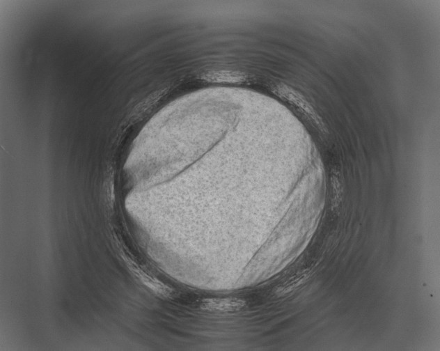 X0000075330541200610061631