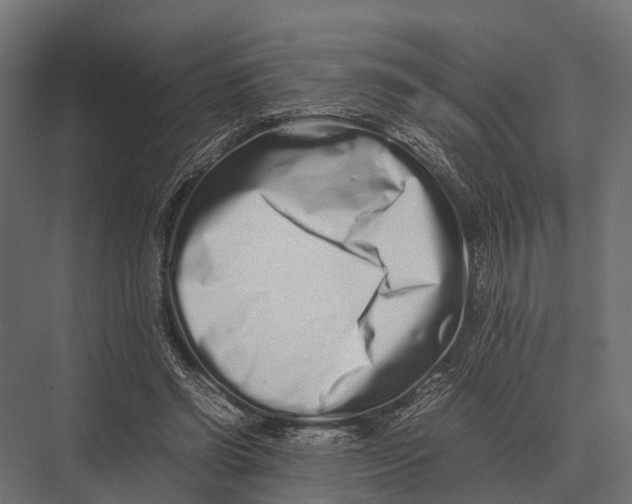 X0000075330542200610061631