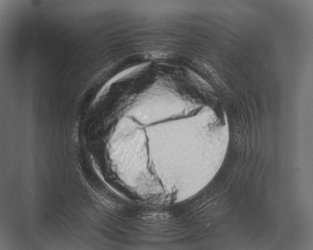 X0000075330543200610061631