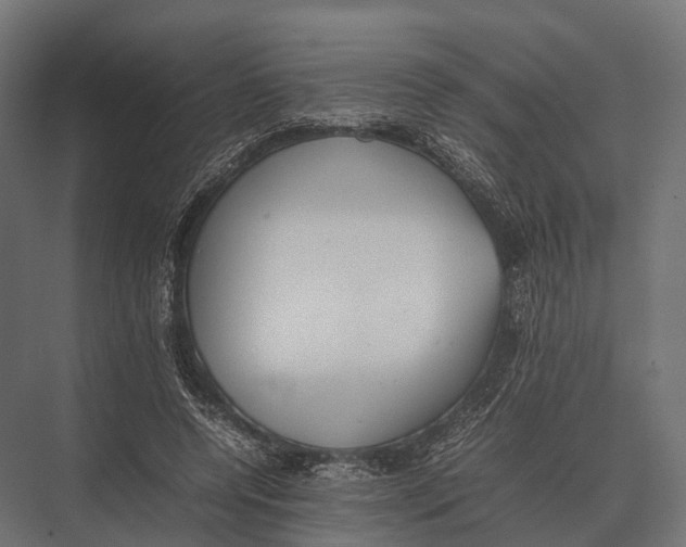 X0000075330544200610061631