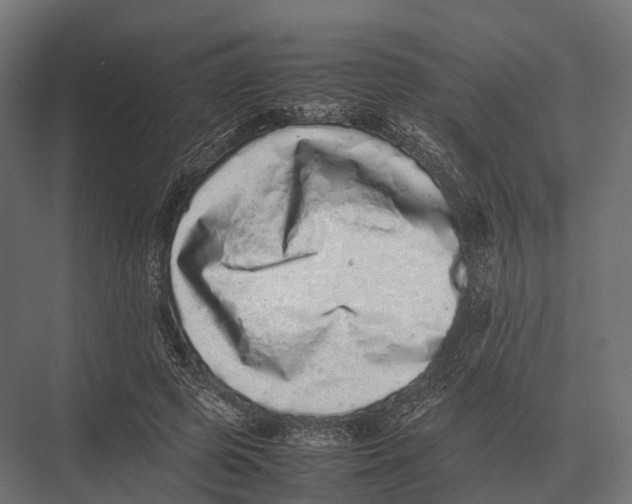 X0000075330545200610061631