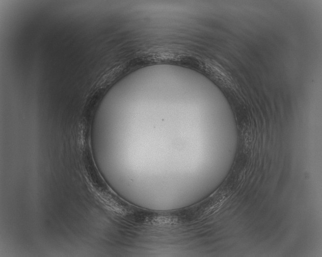 X0000075330546200610061631