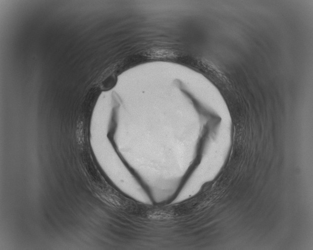 X0000075330549200610061631