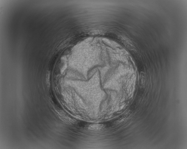 X0000075330550200610061631