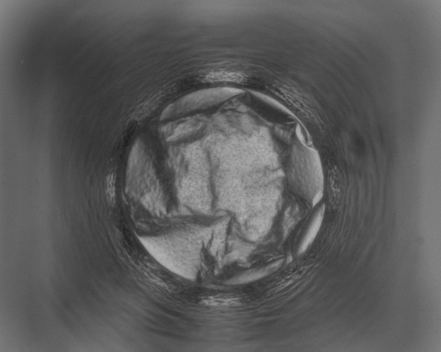 X0000075330551200610061631