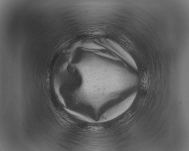 X0000075330552200610061631