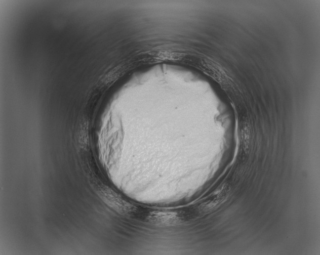 X0000075330554200610061631