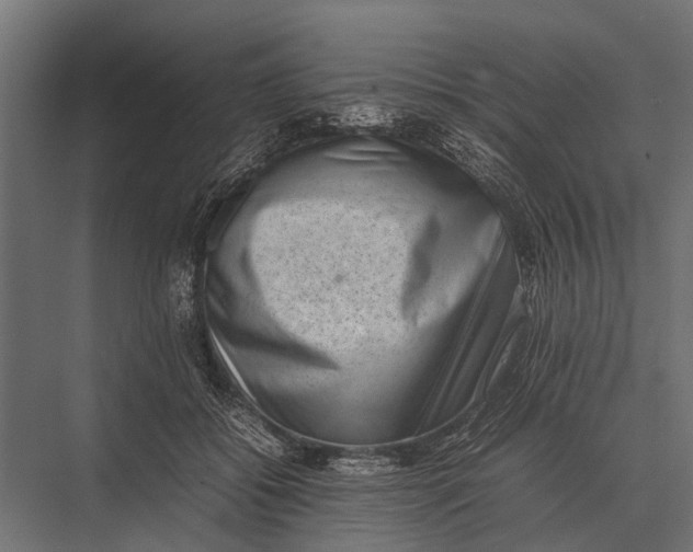 X0000075330556200610061631