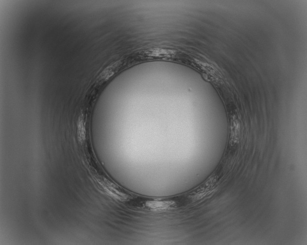 X0000075330558200610061631