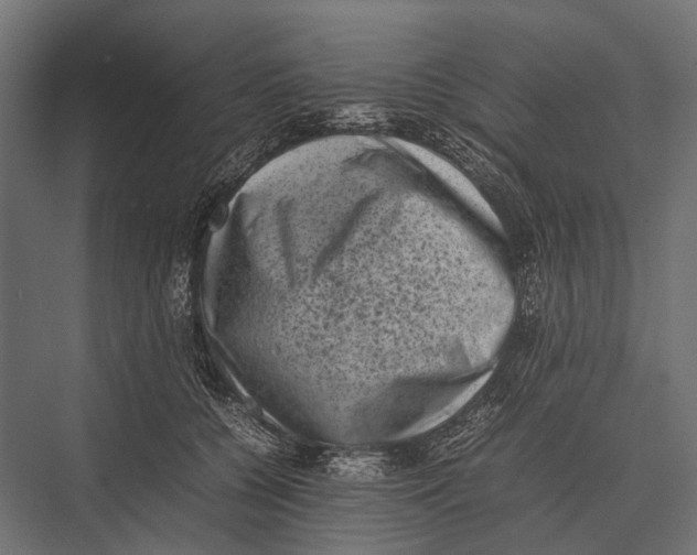 X0000075330560200610061631