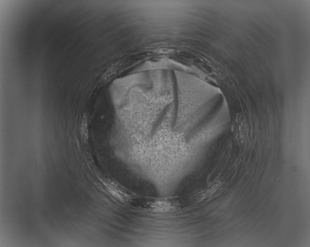 X0000075330562200610061631