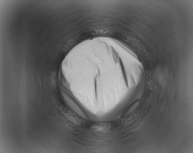 X0000075330563200610061631