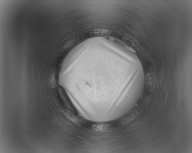 X0000075330564200610061631