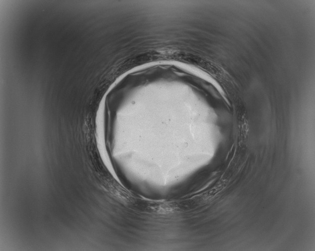 X0000075330565200610061631