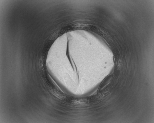 X0000075330567200610061631