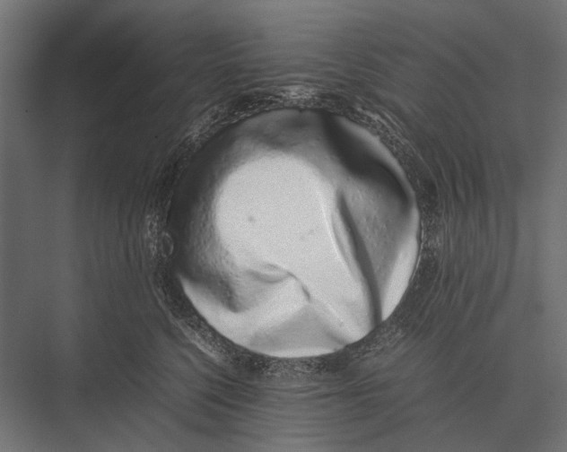 X0000075330568200610061631