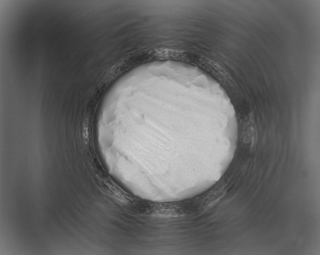 X0000075330569200610061631