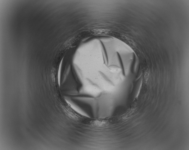 X0000075330570200610061631