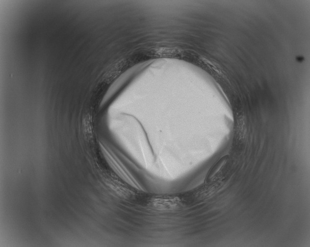 X0000075330571200610061631