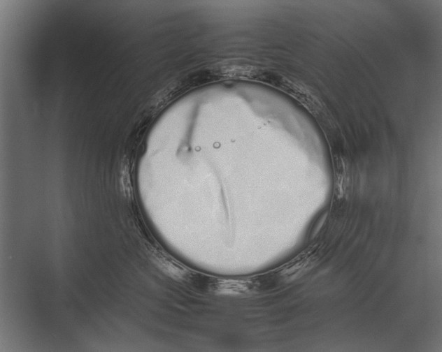 X0000075330573200610061631