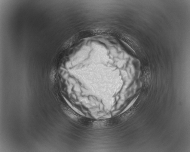 X0000075330574200610061631