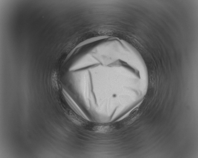 X0000075330575200610061631