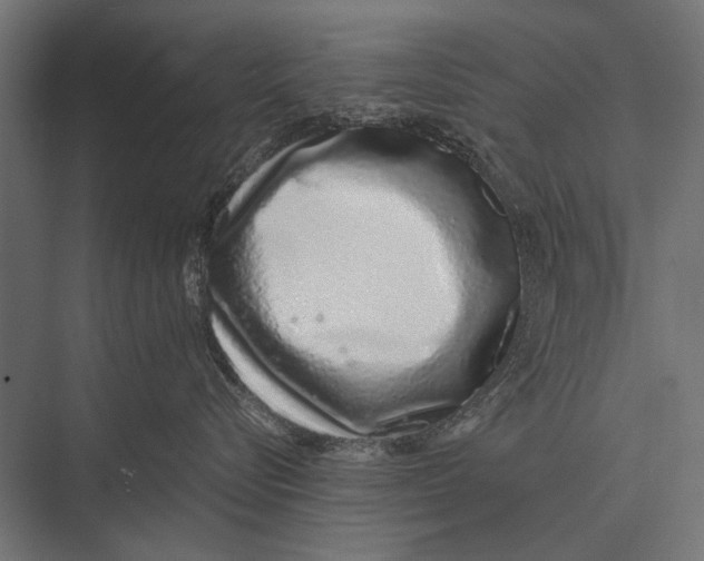 X0000075330576200610061631