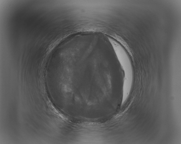 X0000075330577200610061630