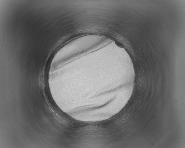 X0000075330578200610061630