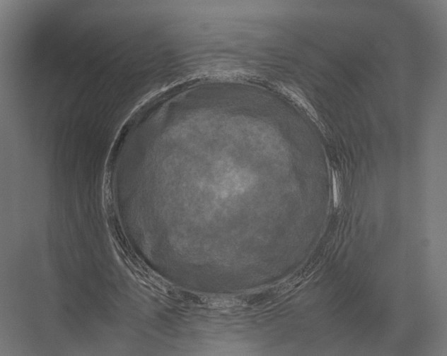 X0000075330579200610061630