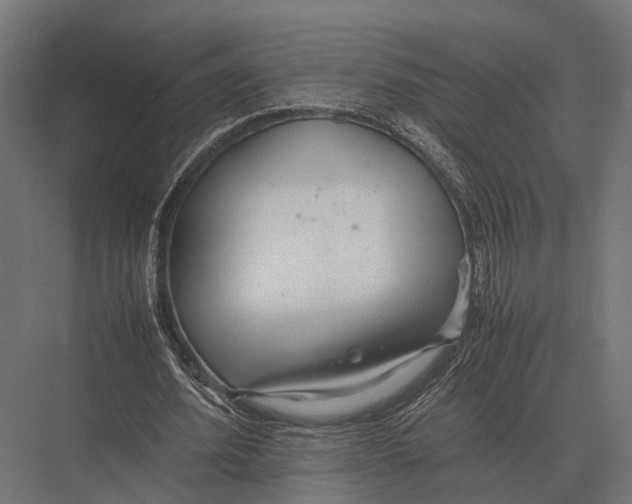 X0000075330580200610061630