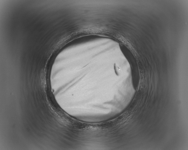 X0000075330582200610061630