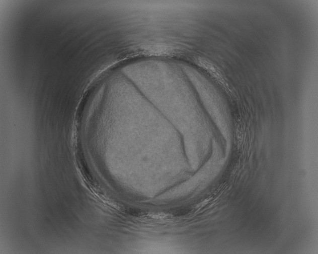 X0000075330583200610061630