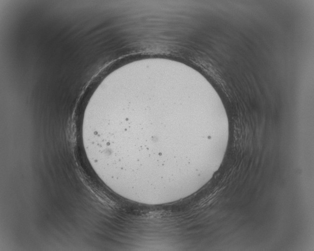 X0000075330584200610061630