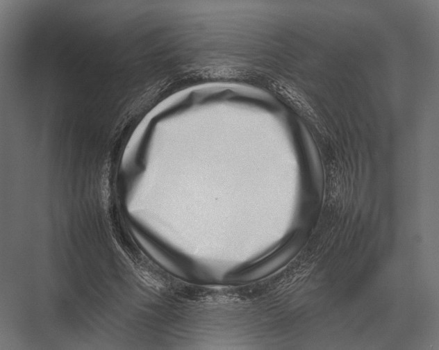 X0000075330586200610061630