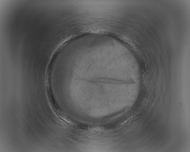 X0000075330587200610061630