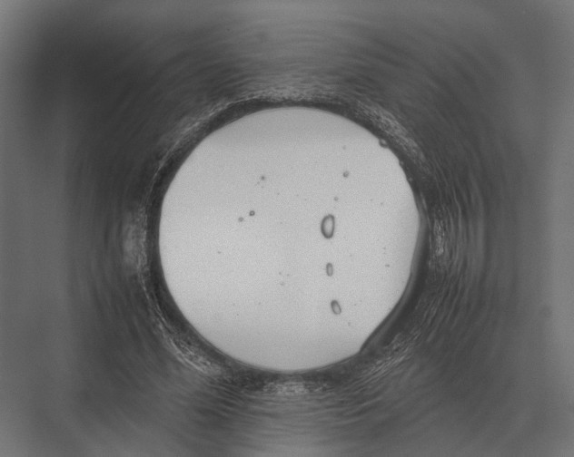 X0000075330588200610061630