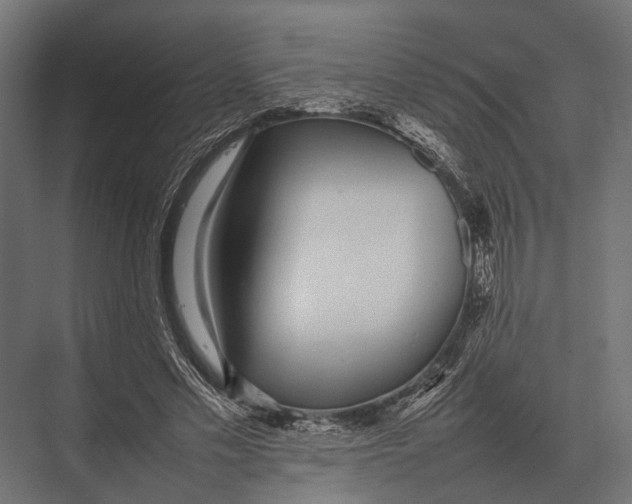 X0000075330589200610061630