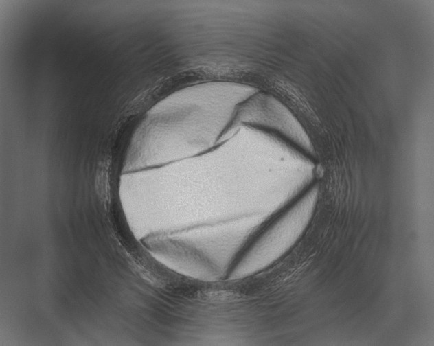 X0000075330590200610061630