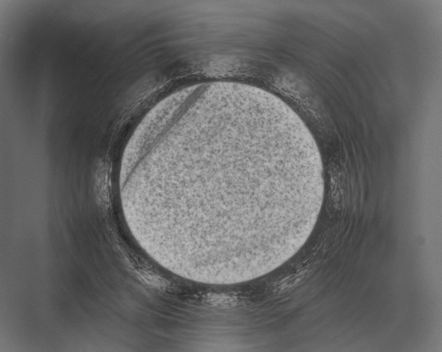 X0000075330592200610061630