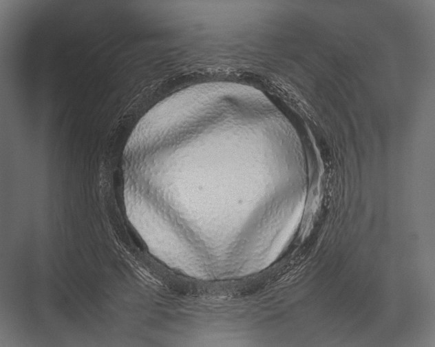 X0000075330593200610061630