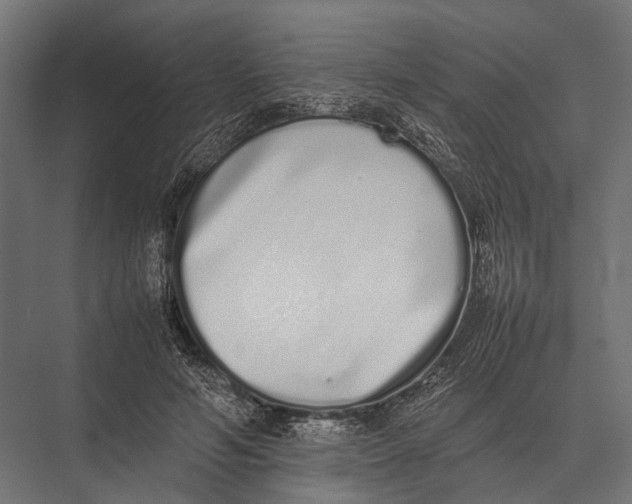 X0000075330594200610061630