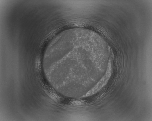 X0000075330595200610061630