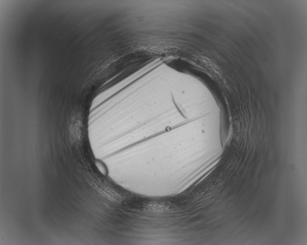 X0000075330596200610061630