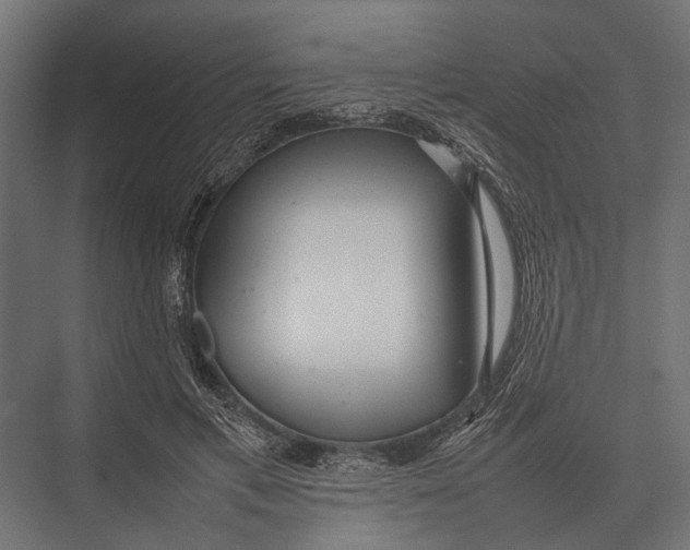 X0000075330597200610061630